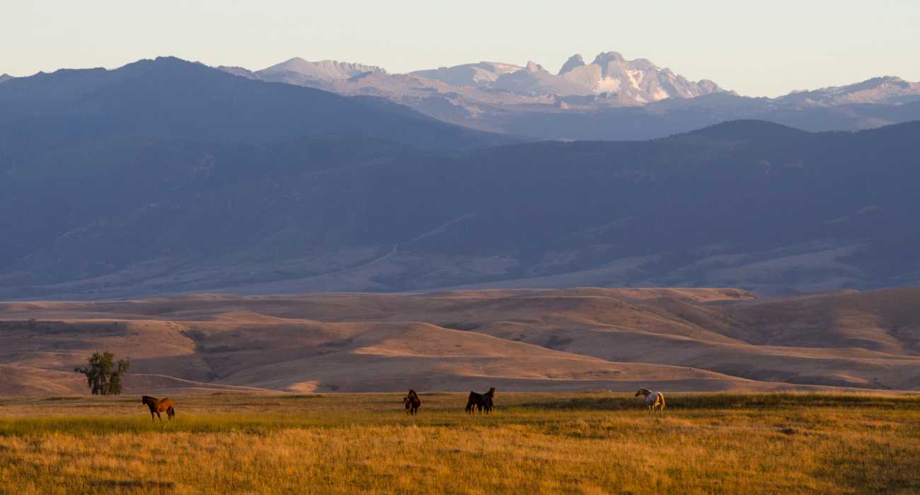 Air Ambulance In Sheridan, WY